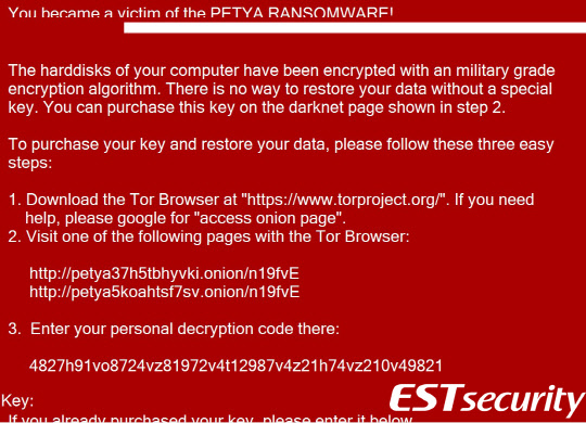 페트야 랜섬웨어 '이미테이션 악성파일' 실행 시 보여지는 안내 화면. 이스트시큐리티 제공